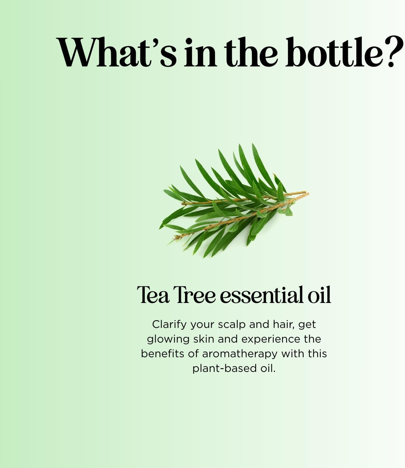 100% Pure Tea Tree Essential Oil – Premium Quality for Skin and Scalp Care, Aromatherapy, and Natural Cleaning Solutions - DELEOUR
