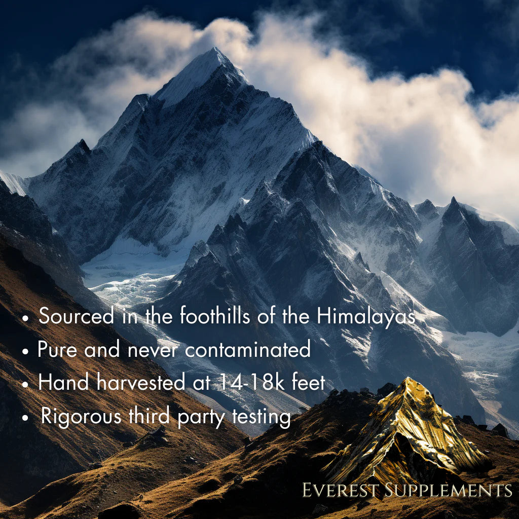 ™ Organic Himalayan Shilajit | Free Shipping - DELEOUR
