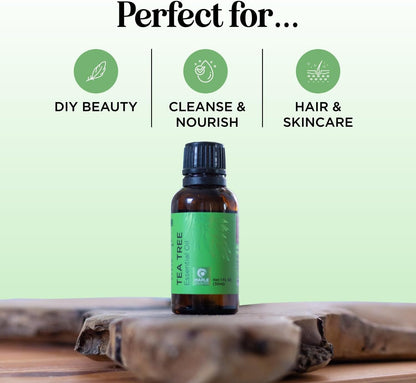 100% Pure Tea Tree Essential Oil – Premium Quality for Skin and Scalp Care, Aromatherapy, and Natural Cleaning Solutions - DELEOUR