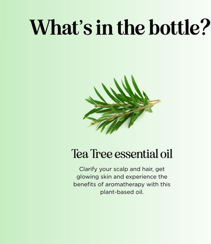 100% Pure Tea Tree Essential Oil – Premium Quality for Skin and Scalp Care, Aromatherapy, and Natural Cleaning Solutions - DELEOUR